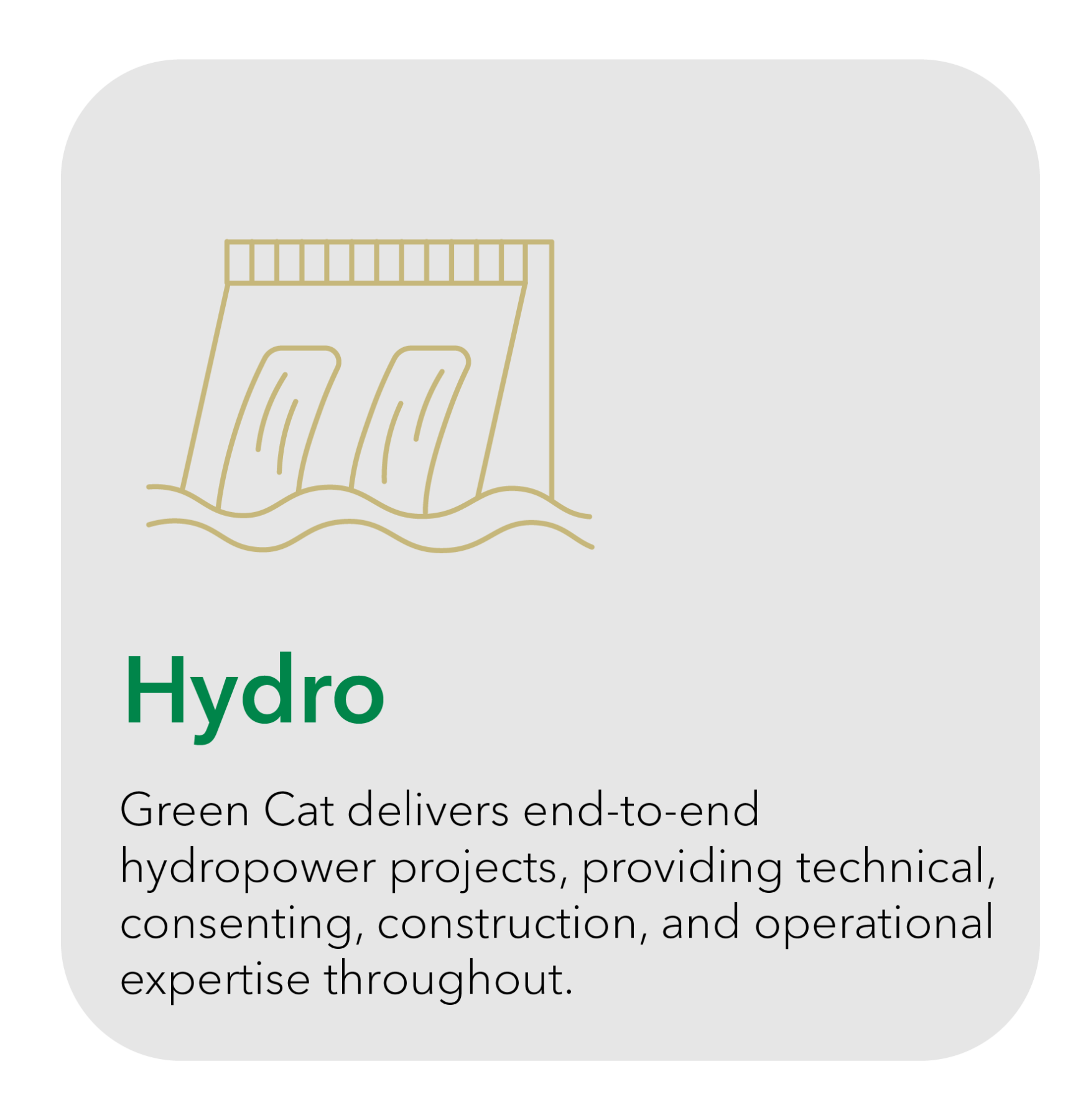 Hydro - Green Cat delivers end-to-end hydropower projects, providing technical, consenting, construction, and operational expertise throughout.