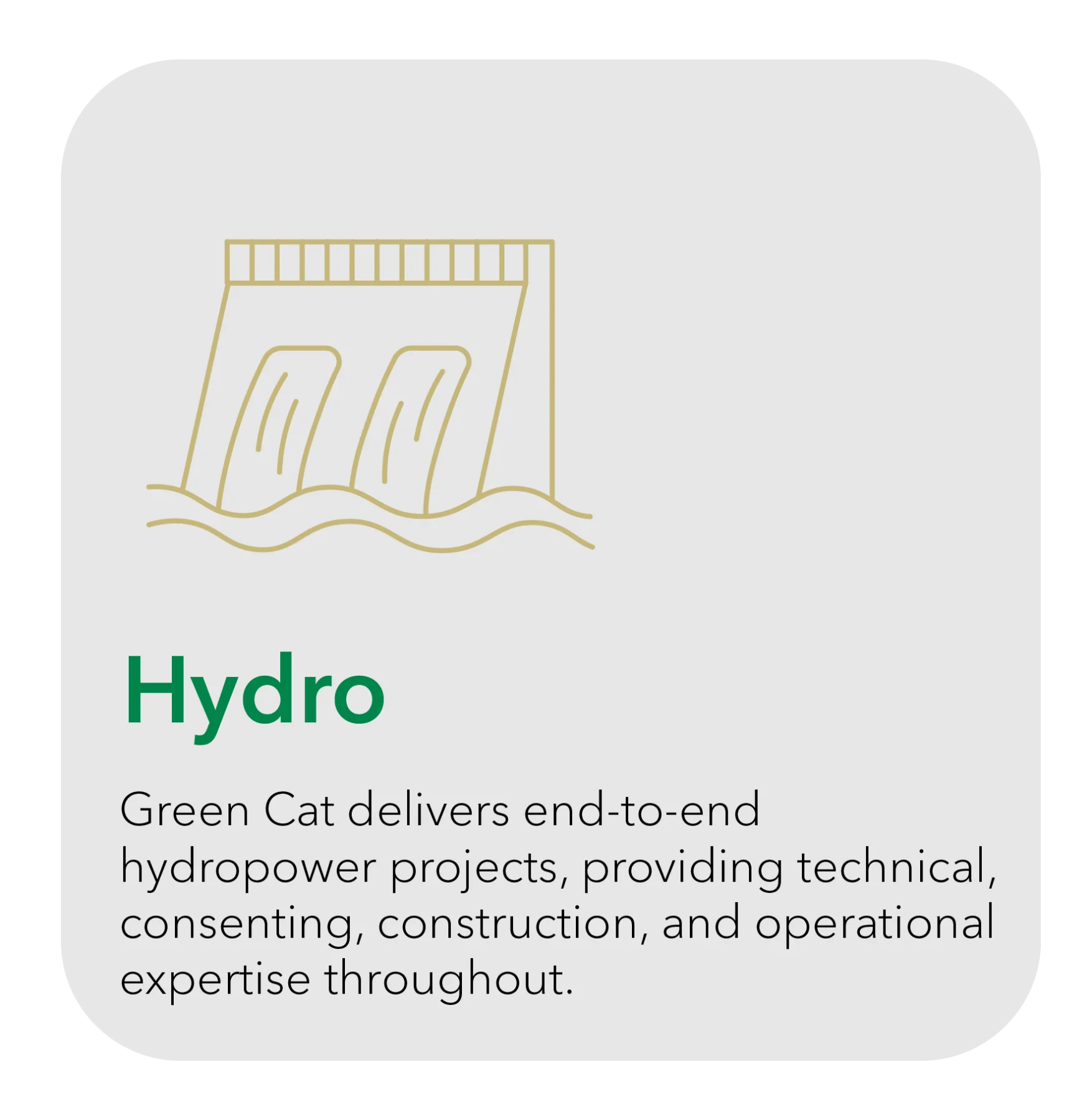 Hydro - Green Cat delivers end-to-end hydropower projects, providing technical, consenting, construction, and operational expertise throughout.