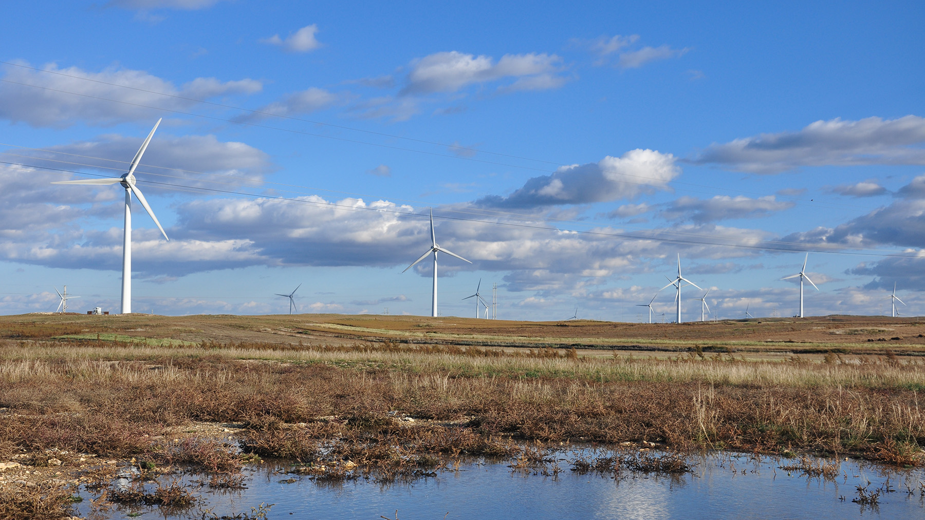 Wind energy is mature and expanding; Green Cat has delivered tailored, full lifecycle onshore wind consultancy on over 350 diverse sites.